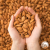 b2df6938beec369ed07b74f1f1030515.png